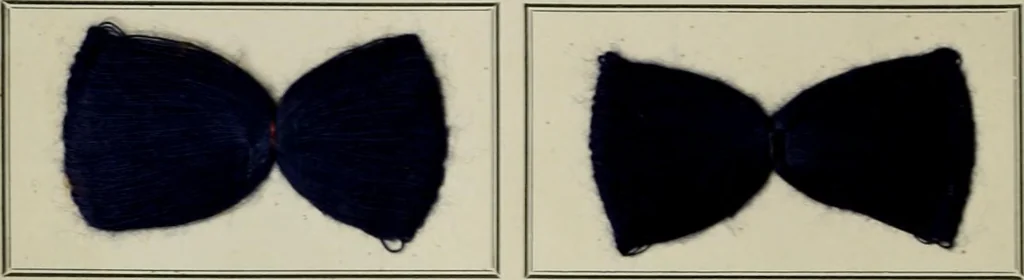 An illustration from Revue générale des mati`eres colorantes et des industries qui s'y rattachent, 1908, leaf 171