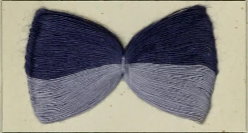 An illustration from Revue générale des mati`eres colorantes et des industries qui s'y rattachent, 1908, leaf 171