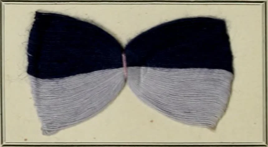 An illustration from Revue générale des mati`eres colorantes et des industries qui s'y rattachent, 1908, leaf 171