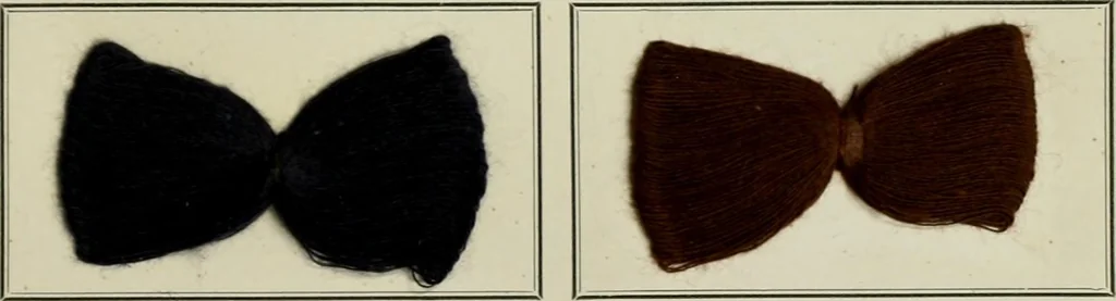 An illustration from Revue générale des mati`eres colorantes et des industries qui s'y rattachent, 1908, leaf 172