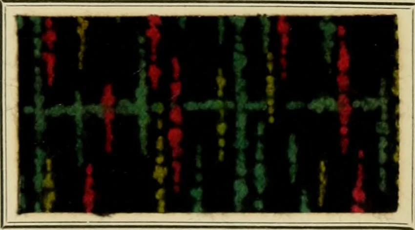 An illustration from Revue générale des mati`eres colorantes et des industries qui s'y rattachent, 1908, leaf 408