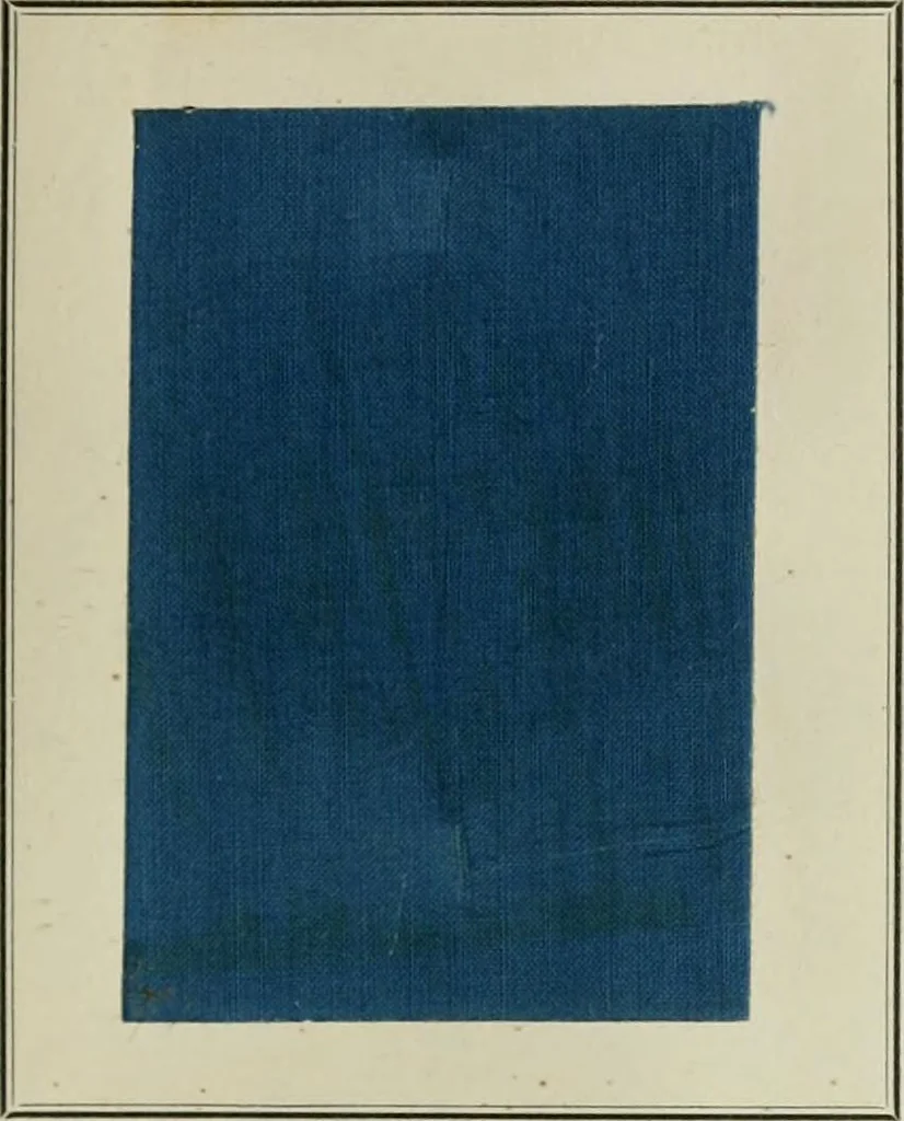 An illustration from Revue générale des mati`eres colorantes et des industries qui s'y rattachent, 1908, leaf 48