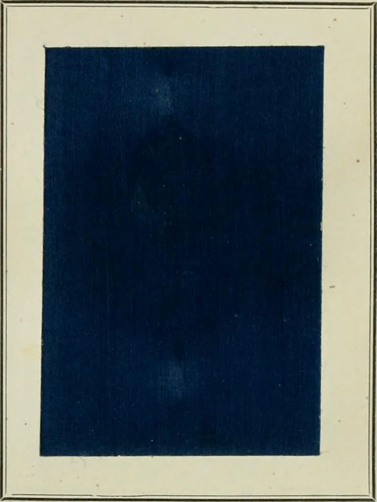 An illustration from Revue générale des mati`eres colorantes et des industries qui s'y rattachent, 1908, leaf 48