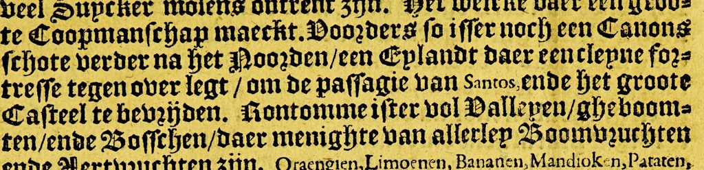 An illustration from Reys-boeck van het rijcke Brasilien, Rio de la Plata ende Magallanes, : daer in te sien is, de gheleghentheyt van hare landen ende steden, haren handel ende wandel, met de vruchten ende vruchbaerheyt der selver: alles met copere platen uytghebeelt. Als oock de leste reyse van den Heer van Dort, met het veroveren vande Baeye de Todos los Santos,, 1624, leaf 43