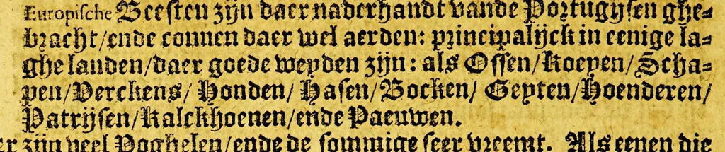 An illustration from Reys-boeck van het rijcke Brasilien, Rio de la Plata ende Magallanes, : daer in te sien is, de gheleghentheyt van hare landen ende steden, haren handel ende wandel, met de vruchten ende vruchbaerheyt der selver: alles met copere platen uytghebeelt. Als oock de leste reyse van den Heer van Dort, met het veroveren vande Baeye de Todos los Santos,, 1624, leaf 70