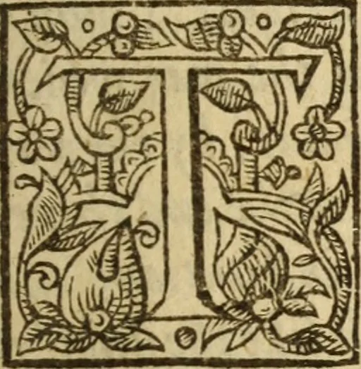 An illustration from Quaternio, or, A fourefold way to a happie life : set forth in a dialogue between a countryman and a citizen, a Divine and a Lawyer, 1633, leaf 16