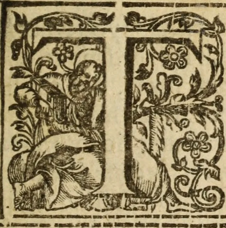 An illustration from Quaternio, or, A fourefold way to a happie life : set forth in a dialogue between a countryman and a citizen, a Divine and a Lawyer, 1633, leaf 20