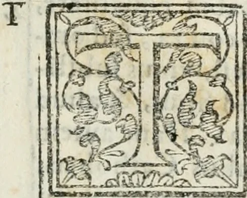 An illustration from Rhetorica christiana : ad concionandi et orandi vsvm accommodata, vtrivsq[ue] facvltatis exemplis svo loco insertis : qvae qvidem ex Indorvm maximè deprompta svnt historiis : vnde praeter doctrinam, svma qvoqve delectatio comparabitvr, 1579, leaf 340