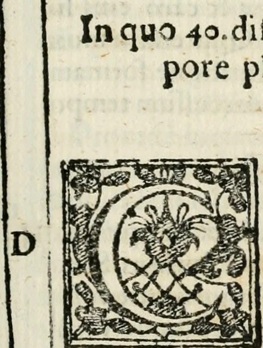 An illustration from Rhetorica christiana : ad concionandi et orandi vsvm accommodata, vtrivsq[ue] facvltatis exemplis svo loco insertis : qvae qvidem ex Indorvm maximè deprompta svnt historiis : vnde praeter doctrinam, svma qvoqve delectatio comparabitvr, 1579, leaf 382