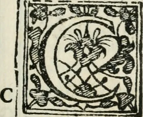 An illustration from Rhetorica christiana : ad concionandi et orandi vsvm accommodata, vtrivsq[ue] facvltatis exemplis svo loco insertis : qvae qvidem ex Indorvm maximè deprompta svnt historiis : vnde praeter doctrinam, svma qvoqve delectatio comparabitvr, 1579, leaf 400