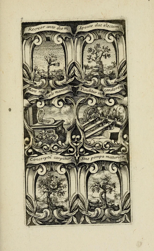 An illustration from Rhetoricae suburbanum, pars prima : cuius libri tres exhibent : primus, xystum, in quo heroica symbola proferuntur ... secundus, aulam ... tertius, odaeum ..., 1676, leaf 39