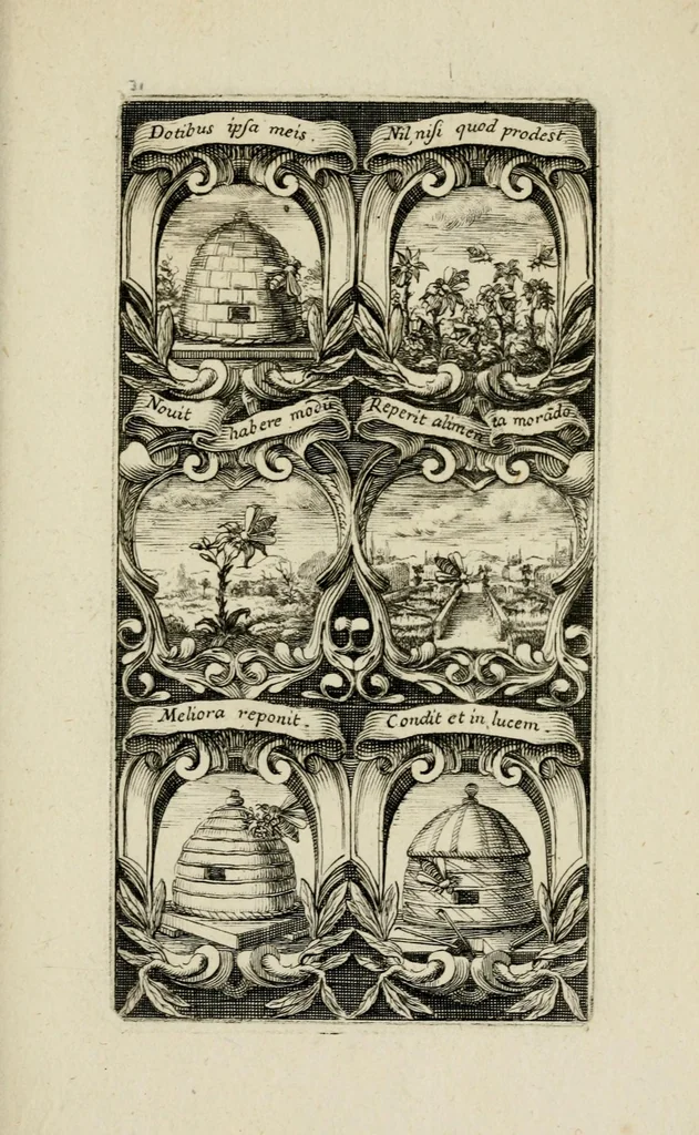 An illustration from Rhetoricae suburbanum, pars prima : cuius libri tres exhibent : primus, xystum, in quo heroica symbola proferuntur ... secundus, aulam ... tertius, odaeum ..., 1676, leaf 67