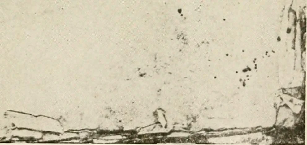 An illustration from Rhode Island imprints; a list of books, pamphlets, newspapers and broadsides printed at Newport, Providence, Warren, Rhode Island between 1727 and 1800, 1915, leaf 64