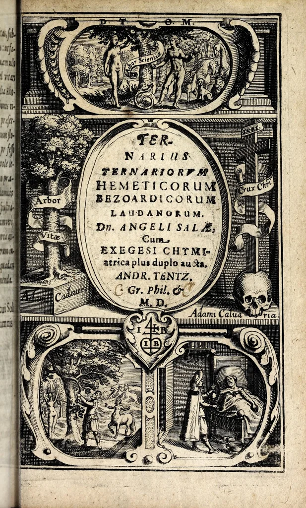 An illustration from Rhodologia, seu, Philosophico-medica generosae rosae descriptio : flosculis philosophicis, philolog. philiatr. arcanis politicis, chym. etc. adornata, 1628, leaf 343