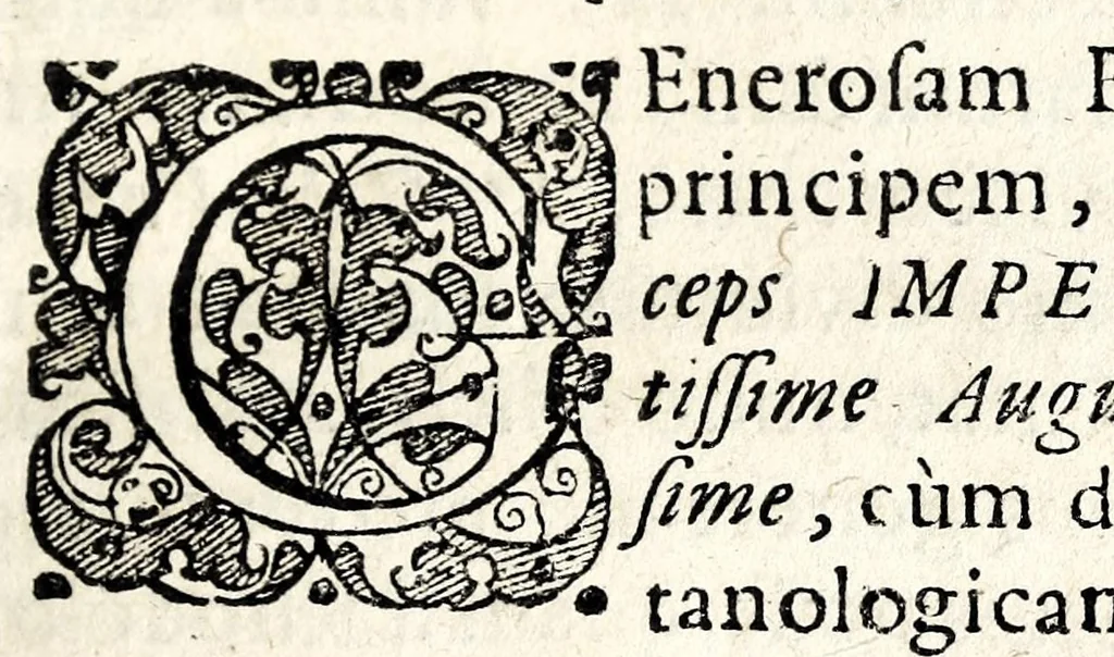 An illustration from Rhodologia, seu, Philosophico-medica generosae rosae descriptio : flosculis philosophicis, philolog. philiatr. arcanis politicis, chym. etc. adornata, 1628, leaf 7