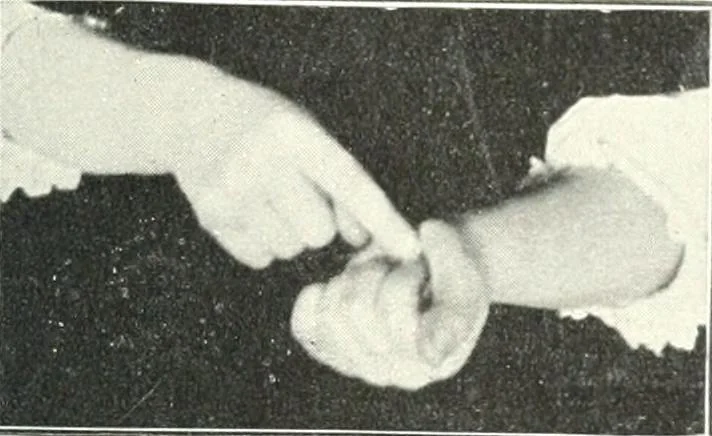 An illustration from Rhymes for little hands, 1906, leaf 100