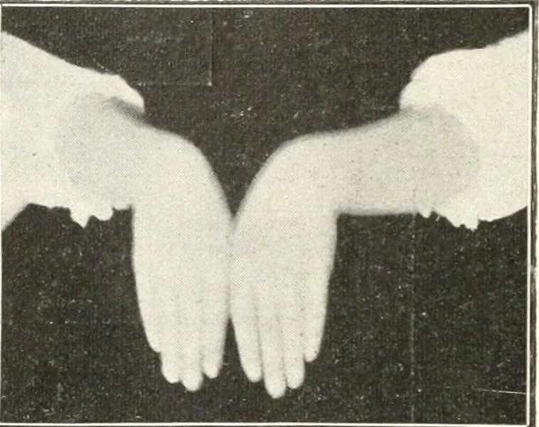 An illustration from Rhymes for little hands, 1906, leaf 101