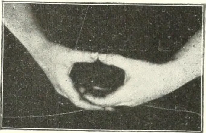 An illustration from Rhymes for little hands, 1906, leaf 106