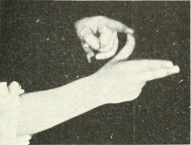 An illustration from Rhymes for little hands, 1906, leaf 110