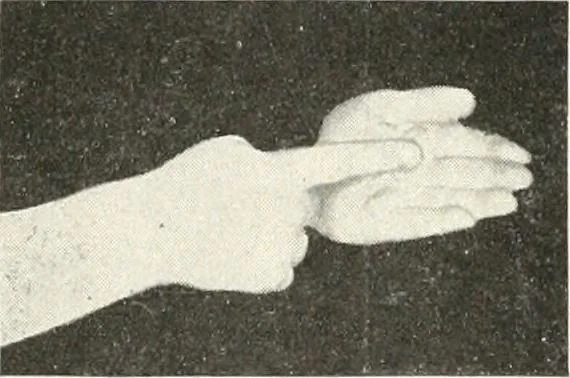 An illustration from Rhymes for little hands, 1906, leaf 119