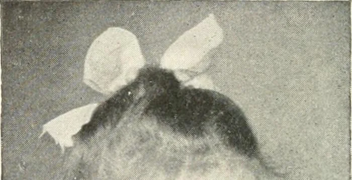 An illustration from Rhymes for little hands, 1906, leaf 133