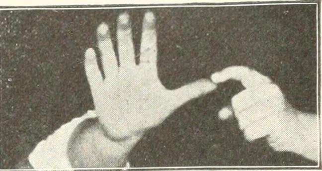 An illustration from Rhymes for little hands, 1906, leaf 145