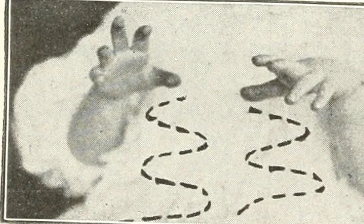 An illustration from Rhymes for little hands, 1906, leaf 157