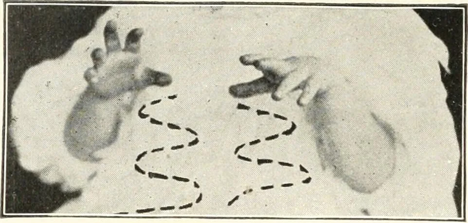 An illustration from Rhymes for little hands, 1906, leaf 25