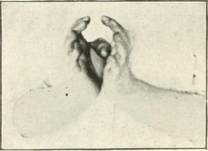 An illustration from Rhymes for little hands, 1906, leaf 25
