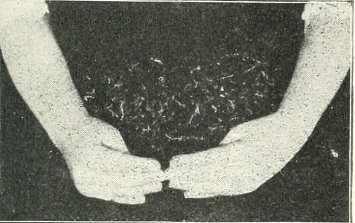 An illustration from Rhymes for little hands, 1906, leaf 48