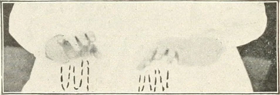 An illustration from Rhymes for little hands, 1906, leaf 53