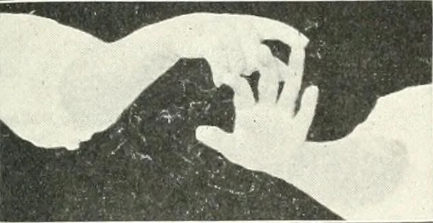 An illustration from Rhymes for little hands, 1906, leaf 64