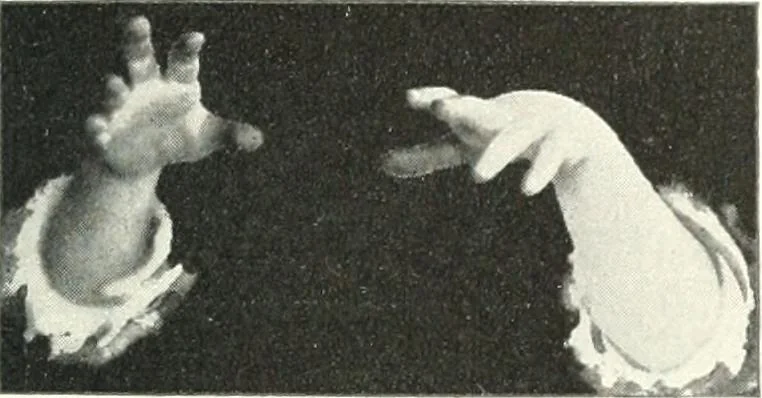 An illustration from Rhymes for little hands, 1906, leaf 76