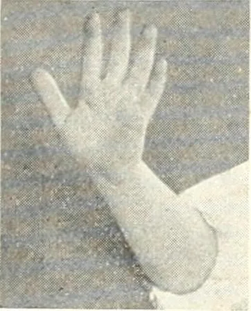An illustration from Rhymes for little hands, 1906, leaf 89