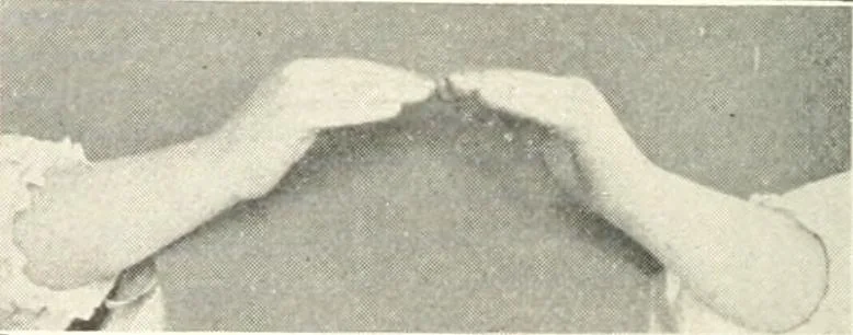 An illustration from Rhymes for little hands, 1906, leaf 89