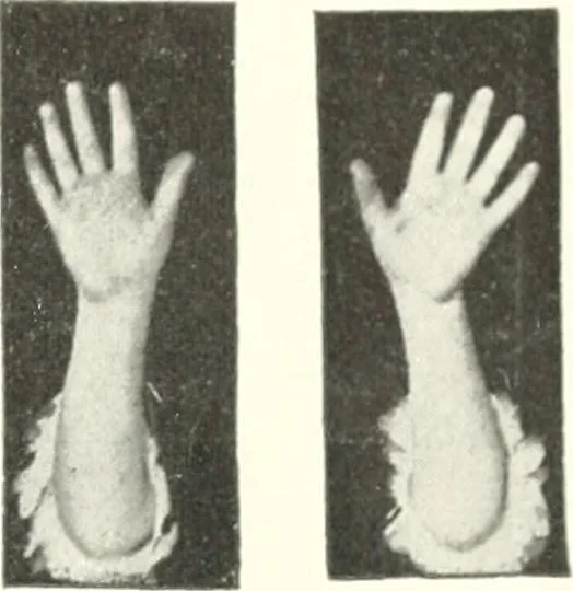 An illustration from Rhymes for little hands, 1906, leaf 90