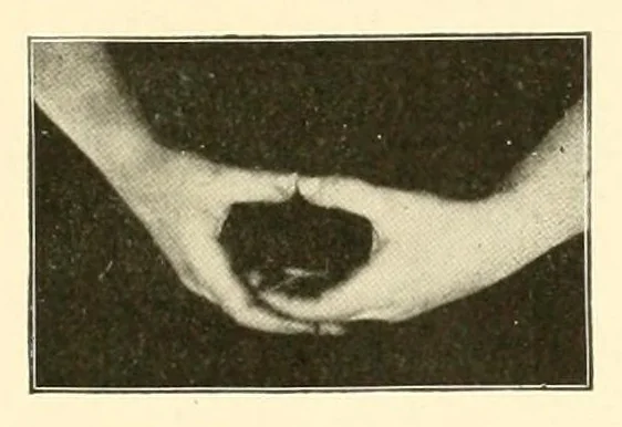 An illustration from Rhymes for little hands, 1906, leaf 111