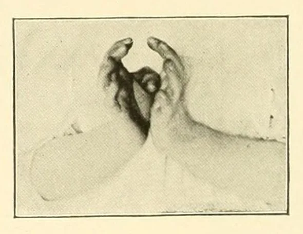 An illustration from Rhymes for little hands, 1906, leaf 52