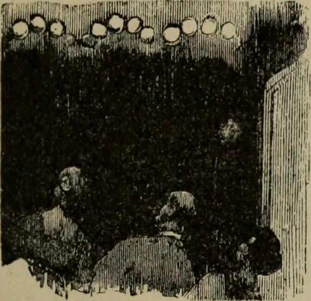 An illustration from Richard Wagner en caricatures : 130 reproductions de caricatures françaises, allemandes, anglaises, italiennes, portraits : autographes (lettre et musique) dessins originaux de J. Blass, Moloch et Tiret-Bognet, 1892, leaf 194