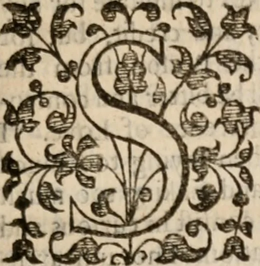An illustration from Rich. Baxters apology against the modest exceptions of Mr T. Blake. And the digression of Mr G. Kendall, 1654, leaf 12