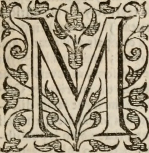 An illustration from Rich. Baxters apology against the modest exceptions of Mr T. Blake. And the digression of Mr G. Kendall, 1654, leaf 30