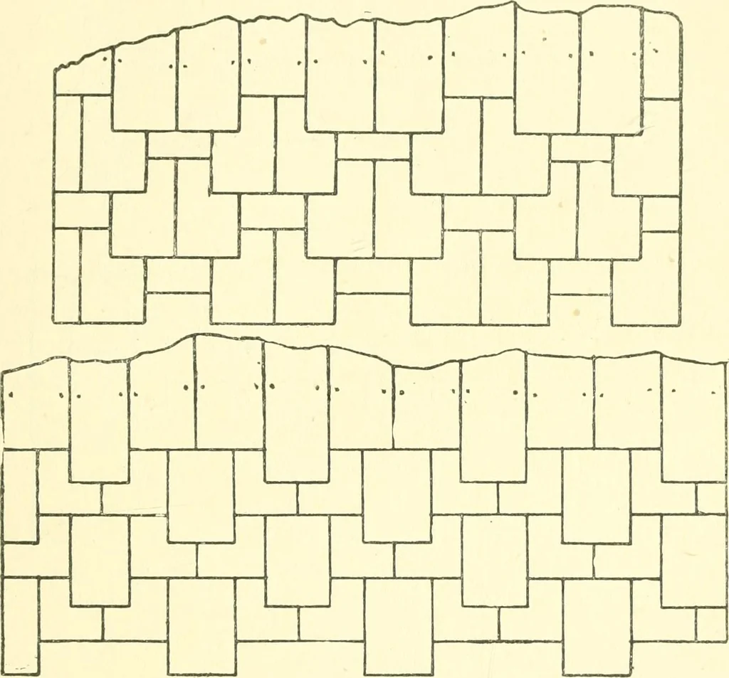An illustration from Richey's guide and assistant for carpenters and mechanics : a work of practical information, giving almost every geometrical and practical problem likely to arise in the work of the carpenter, and quick and easy methods for their solution : the use of the steel square, etc., tables showing strength and weight of materials, methods of framing, useful recipes, etc., etc., 1894, leaf 112