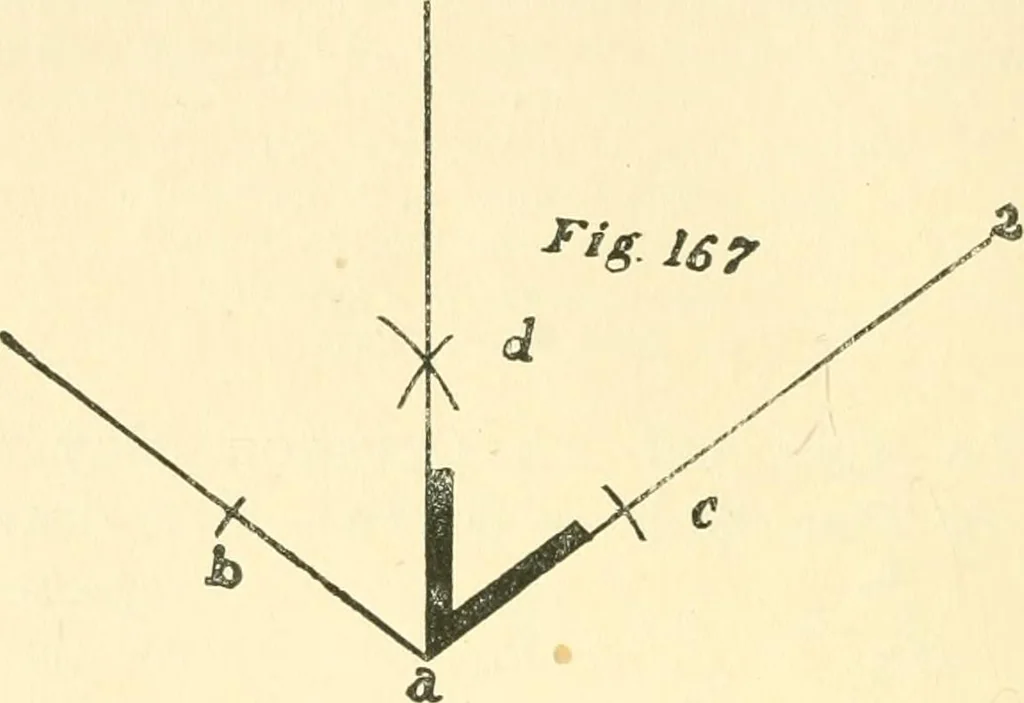 An illustration from Richey's guide and assistant for carpenters and mechanics : a work of practical information, giving almost every geometrical and practical problem likely to arise in the work of the carpenter, and quick and easy methods for their solution : the use of the steel square, etc., tables showing strength and weight of materials, methods of framing, useful recipes, etc., etc., 1894, leaf 123