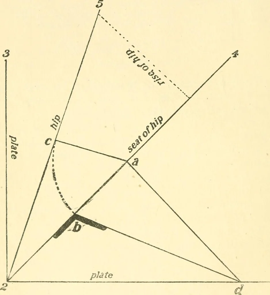An illustration from Richey's guide and assistant for carpenters and mechanics : a work of practical information, giving almost every geometrical and practical problem likely to arise in the work of the carpenter, and quick and easy methods for their solution : the use of the steel square, etc., tables showing strength and weight of materials, methods of framing, useful recipes, etc., etc., 1894, leaf 29