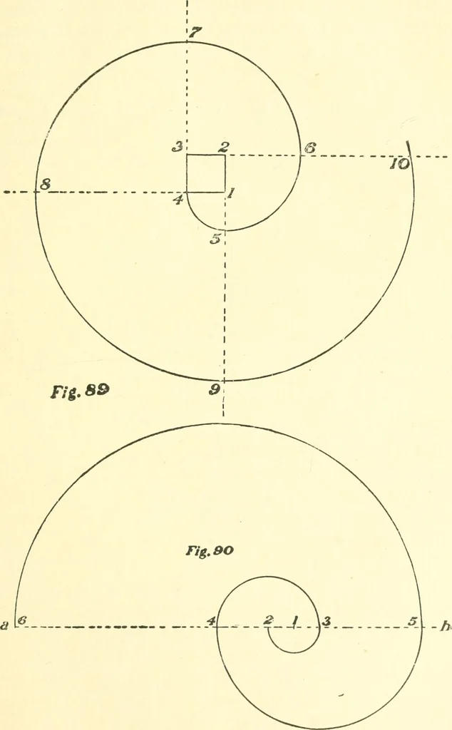 An illustration from Richey's guide and assistant for carpenters and mechanics : a work of practical information, giving almost every geometrical and practical problem likely to arise in the work of the carpenter, and quick and easy methods for their solution : the use of the steel square, etc., tables showing strength and weight of materials, methods of framing, useful recipes, etc., etc., 1894, leaf 72