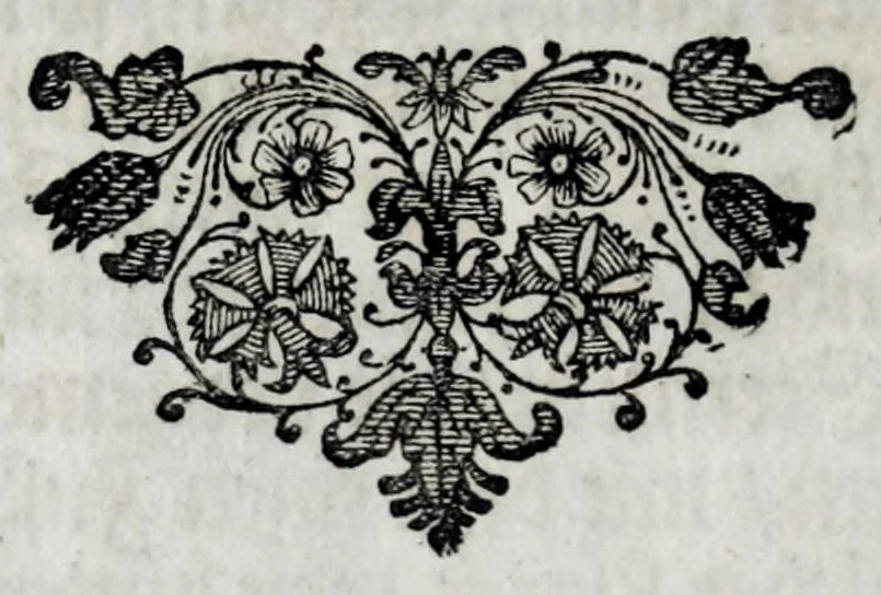 An illustration from Richtige Anweisung und Vorstellung eines sonderbahrn und nützlichen Instrument zur Architectur : damit die fünff Säulen, auch aller Sorten Stück und Mörssner : ingleichen allerley Bilder und andere Sachen mit leichter Mühe in rechter Proportion zu vergrössern oder zu verkleinern sind ..., 1673, leaf 20