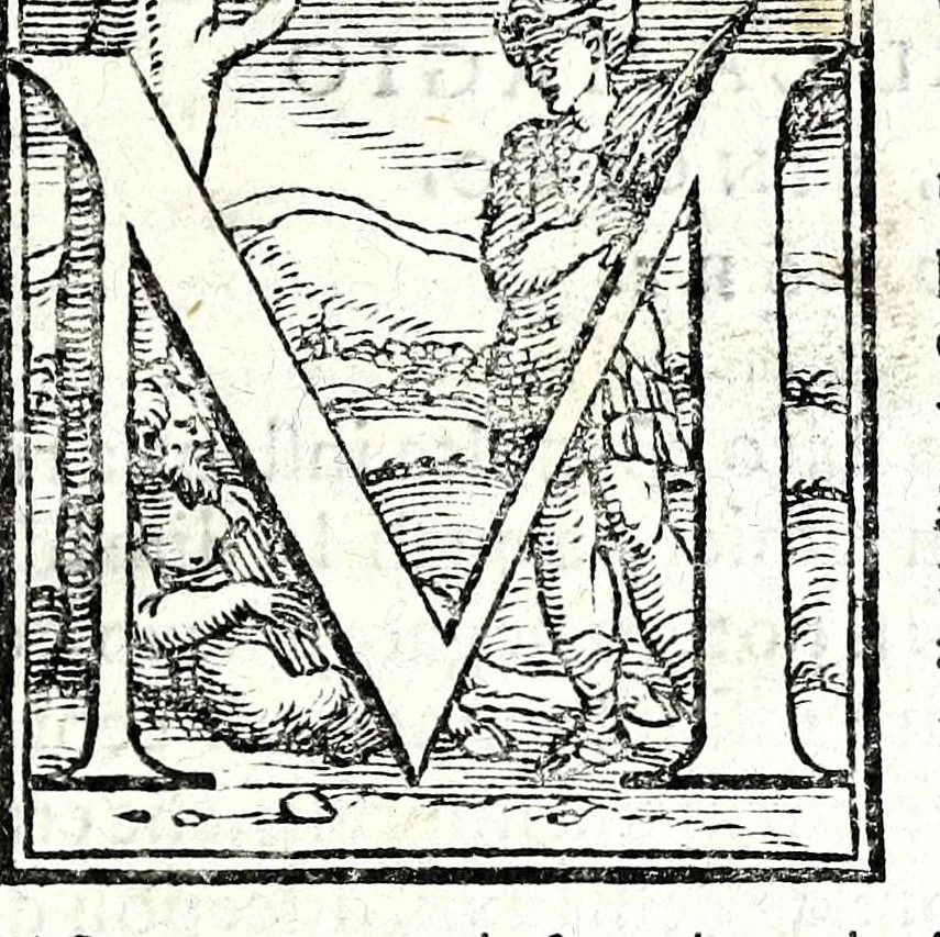 An illustration from Ricordi di monsignor Sabba da Castiglione, cavalier gierosolimitano .., 1560, leaf 13