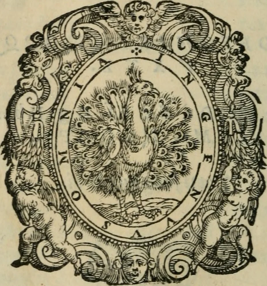 An illustration from Ricordi; overo, Ammaestramenti, ne quali con prudenti, e christiani discorsi si ragiona di tutte le materie honorae, che si ricercano à un vero gentil'huomo, 1565, leaf 609