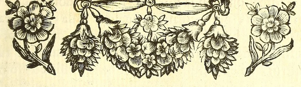 An illustration from Ricreatione dell'occhio e della mente nell'osseruation' delle Chiocciole : proposta a' curiosi delle opere della natura, 1681, leaf 25