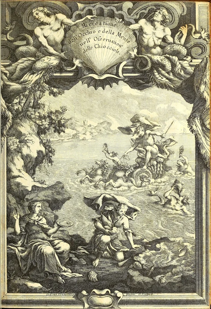 An illustration from Ricreatione dell'occhio e della mente nell'osseruation' delle Chiocciole : proposta a' curiosi delle opere della natura, 1681, leaf 7